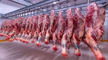 ارتفاع أسعار اللحوم والعدس والجبن اليوم الجمعة بالأسواق