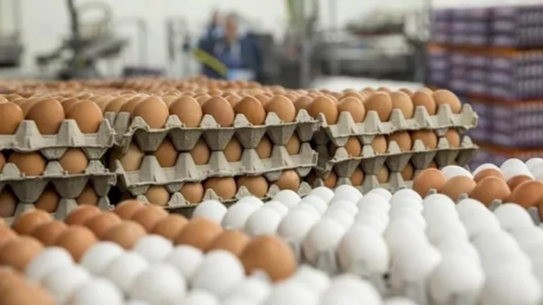 خريطة الأسعار اليوم: ارتفاع البيض والطماطم والذهب