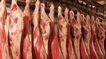 شعبة القصابين: استقرار أسعار اللحوم مرتبط بالدولار والأعلاف