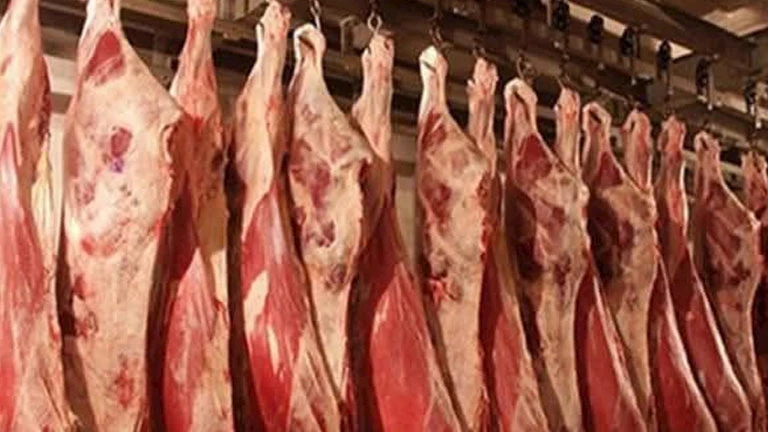 شعبة القصابين: استقرار أسعار اللحوم مرتبط بالدولار والأعلاف