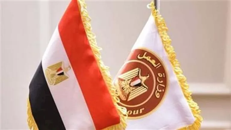 للأطفال حتى 4 سنوات.. إلزام الشركات بتوفير حضانات للنساء العاملات