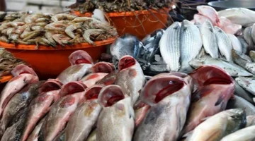 أسعار الأسماك والمأكولات البحرية اليوم في سوق العبور.. ارتفاع البلطي