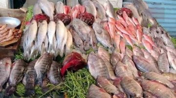 تعرف على أسعار السمك اليوم الثلاثاء في الأسواق
