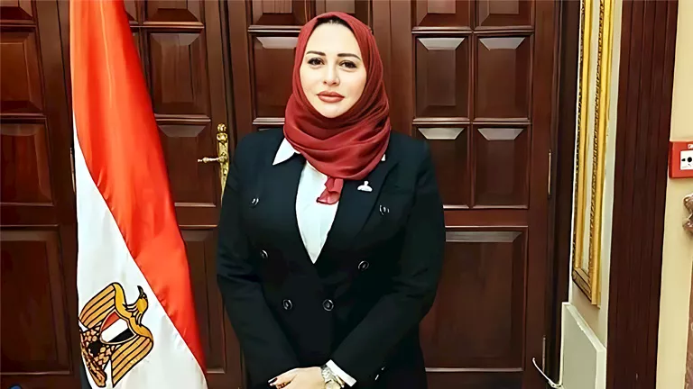 مقترح برلماني لتعديل قانون الرؤية وإعادة النظر بخصوص الأب