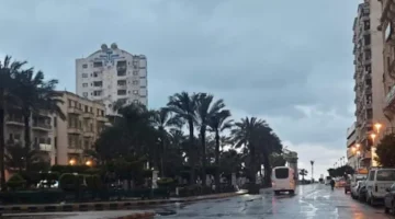 الطقس غدًا.. تعرف على موعد سقوط الأمطار في الجيزة "ساعة بساعة"