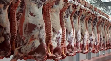 انخفاض أسعار اللحوم والدواجن والزيت اليوم الأربعاء بالأسواق