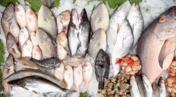 أسعار الأسماك والمأكولات البحرية اليوم في سوق العبور.. زيادة جديدة في البلطي