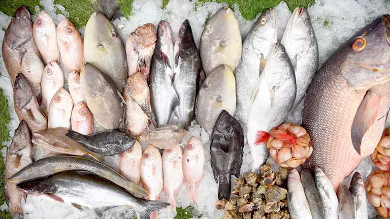 أسعار الأسماك والمأكولات البحرية اليوم في سوق العبور.. زيادة جديدة في البلطي