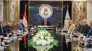 وزير الإنتاج الحربي يكلف بترشيد استهلاك الكهرباء دون التأثير على الإنتاج