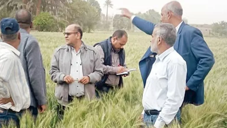 لمواجهة التحديات المناخية.. “الزراعة” تكثف الدعم الفني والإرشادي للمزارعين