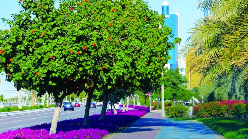 92 جائزة لبلدية أبوظبي خلال 2025 في التفوق المؤسسي والابتكار.