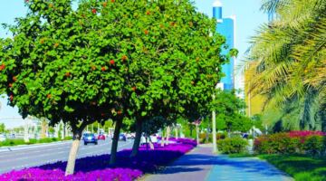 92 جائزة لبلدية أبوظبي خلال 2025 في التفوق المؤسسي والابتكار.