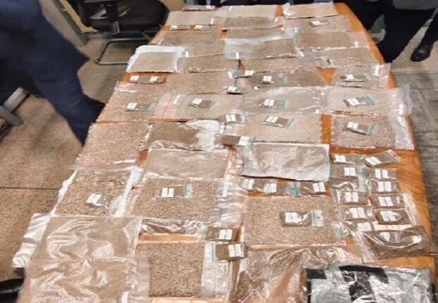 جمارك القاهرة تكشف أخطر عملية تهريب مخدرات وتحبطها قبل وصولها