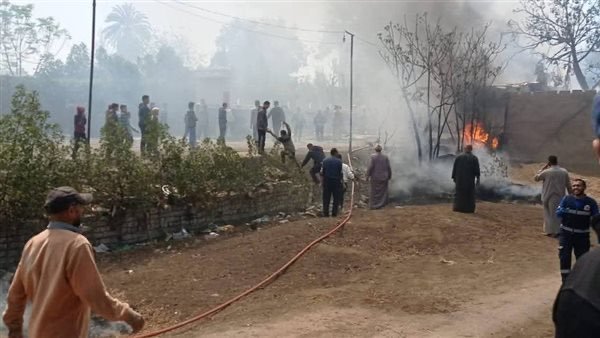 السيطرة على حريق أشجار ببركة السبع في المنوفية