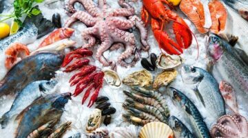 أسعار الأسماك اليوم الخميس 26 مارس 2026 في سوق العبور.. الجمبري بـ 1200 جنيه