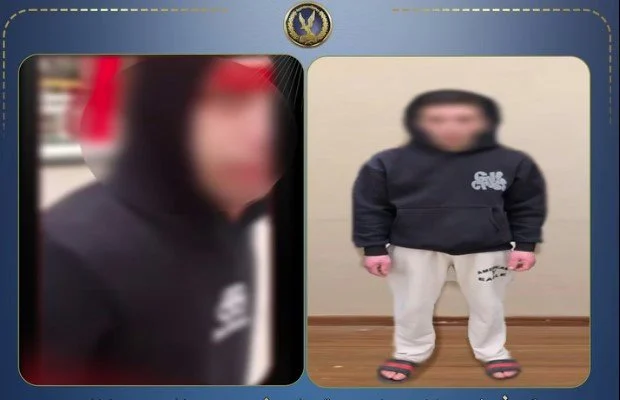 حاول الاستيلاء على هاتفها.. تضبط طالب تحرش بفتاة في ميت غمر