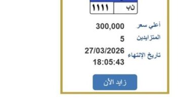 سعرها وصل لـ 300 ألف جنيه.. «مرور مصر» تطرح التزايد على لوحة سيارة مميزة