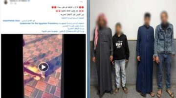 القبض على طالبين في جنوب سيناء بعد تداول فيديو إحراق كلب