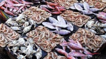 أسعار الأسماك في سوق العبور اليوم السبت 28 مارس 2026.. الجمبري بـ 1160 جنيهاً