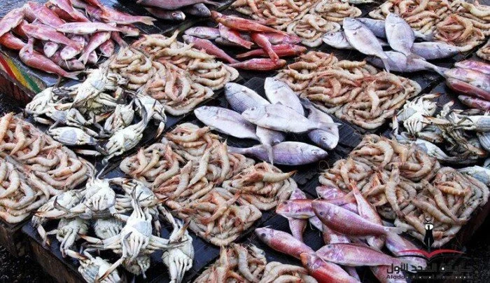 أسعار الأسماك في سوق العبور اليوم السبت 28 مارس 2026.. الجمبري بـ 1160 جنيهاً