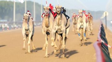 «العاصفة» و«الشيحانية» تتوهجان في أشواط عمالقة ختامي المرموم