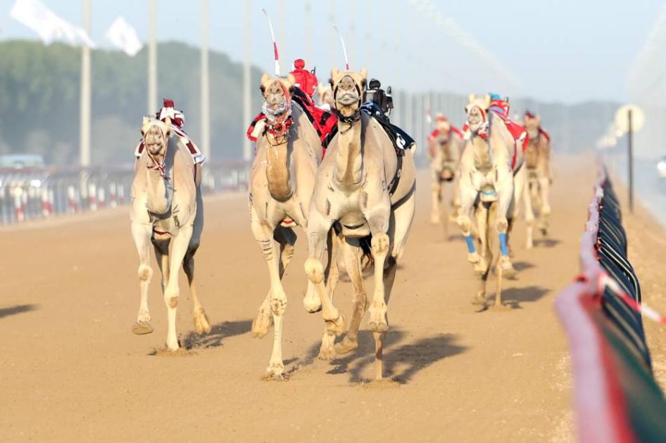 «العاصفة» و«الشيحانية» تتوهجان في أشواط عمالقة ختامي المرموم