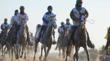 النسخة الـ 18 من «مهرجان ولي عهد دبي للقدرة» تشهد بدء «كأس اليمامة للأفراس»