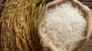 سعر أرز الشعير اليوم الاثنين 30 مارس 2026 في الأسواق