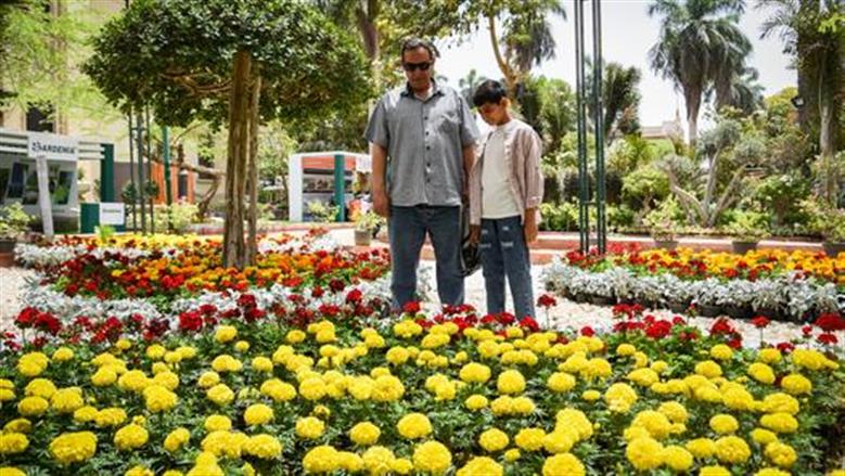 مع تواصل التقلبات الجوية.. مدة فصل الربيع 2026 فلكيًا وموعد انتهائه