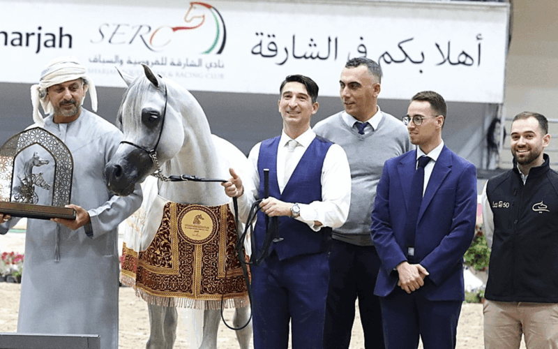 مهرجان الشارقة الدولي للجواد العربي يشهد تميز خيول مربط دبي