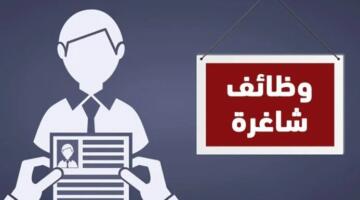 أبرزها «التسويق والهندسة».. إتاحة أكثر من 9 آلاف فرصة عمل جديدة | التفاصيل