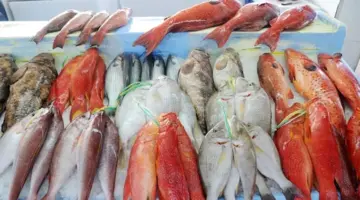 أسعار الأسماك والمأكولات البحرية اليوم الخميس بسوق العبور