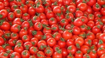 أسعار الطماطم والخضروات اليوم الاثنين 6 أبريل 2026 في سوق العبور