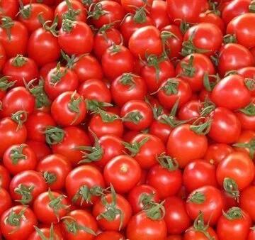 أسعار الطماطم والخضار في سوق العبور اليوم السبت 18 أبريل 2026