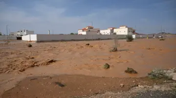 إنقاذ جوي وإيواء عاجل مع تمكين سكان “العِشّ” المتضررين من اختيار السكن في شقق مفروشة على حساب الدولة – أخبار السعودية