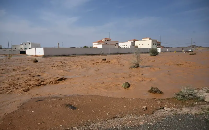 إنقاذ جوي وإيواء عاجل مع تمكين سكان “العِشّ” المتضررين من اختيار السكن في شقق مفروشة على حساب الدولة – أخبار السعودية