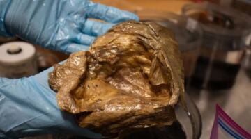 اكتشاف مذهل في قاع المحيط.. حل لغز “الكرة الذهبية”