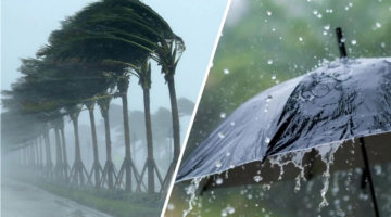 الأرصاد: 5 أيام من التقلبات الجوية.. أمطار ورياح تجتاح المحافظات حتى الجمعة