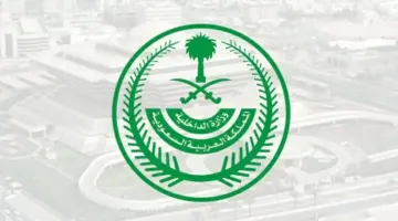 «الداخلية»: غرامة مالية تصل إلى (100.000) ريال بحق من يُؤوي حاملي تأشيرات الزيارة – أخبار السعودية