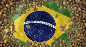 اندلاع حريق في المجمع الأولمبي بمدينة ريو دي جانيرو في البرازيل