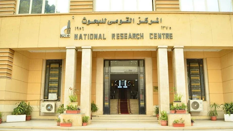 بينها تحمّل بنزين السيارات.. 4 قرارات من القومي للبحوث لترشيد الاستهلاك