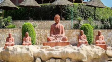 تذاكر الحديقة اليابانية وأوقات الزيارة 2026.. وجهة مثالية للعائلات