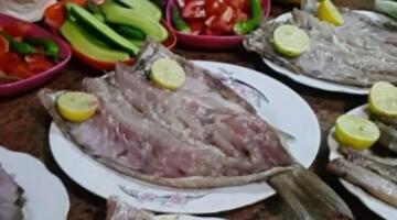 تنبيه.. أعراض تسمم الفسيخ ونصائح للوقاية في شم النسيم