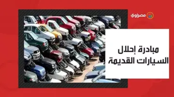 خبير يضع خارطة طريق نجاح مبادرة إحلال السيارات الكهربائية بالبنزين القديمة