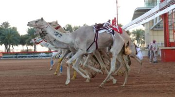 ختامي المرموم يؤكد صدارة دبي في تنظيم الفعاليات الكبرى