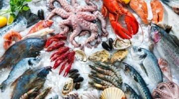 زيادة أسعار الأسماك والجمبري اليوم الجمعة 17 أبريل 2026