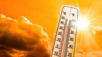 «موجة حارة وأتربة».. الأرصاد تُنبه المواطنين من طقس الغد