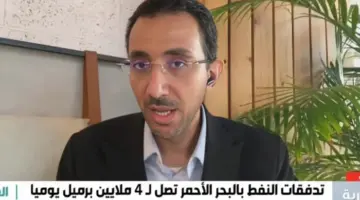 صحيفة المرصد – رغم وصول 7 ملايين برميل يوميا إلى ميناء ينبع … بالفيديو.. خبير في الطاقة يكشف سبب تصدير السعودية 5 ملايين برميل يوميا