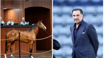 صحيفة المرصد – مقابل مبلغ قياسي.. رجل أعمال سعودي يقتني “مهر” في مزاد خيول بأمريكا بأكثر من 10 ملايين دولار