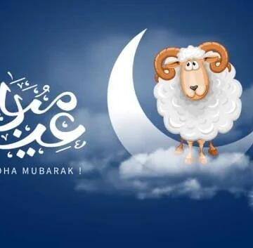 توقيت وقفة عرفة 2026 فلكيًا وعدد أيام عيد الأضحى في مصر